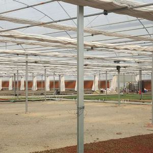連棟大棚骨架