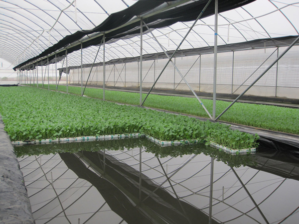 自動(dòng)噴淋系統(tǒng)