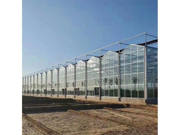 玻璃溫室